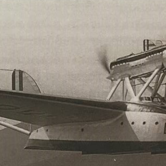 Coppia di S. 55 in volo ravvicinato, a bassa quota sui colli laziali