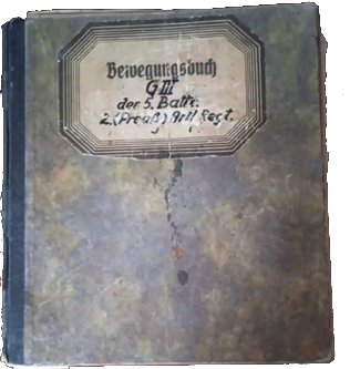 Diario di Gualfardo Rombolini