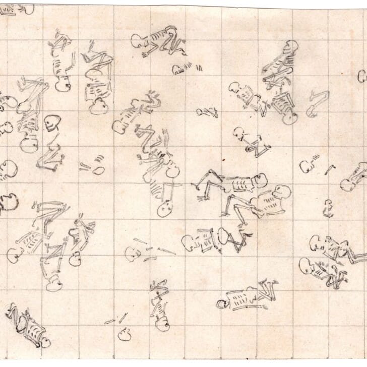 immagini riprese dal Brizio la necropoli di Novilara