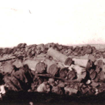 Bombe a mano francesi - tipo Excelsior - dall'album del soldato Di Camillo Orazio