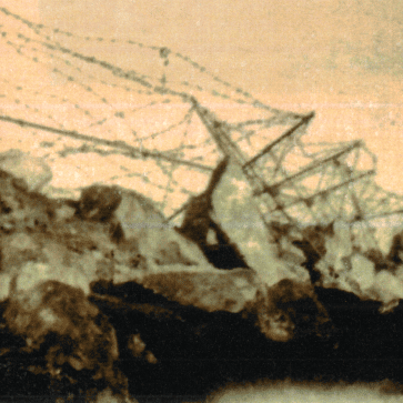 Cavalli di Frisia - dall'album del soldato Di Camillo Orazio