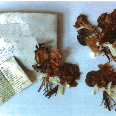 Corrispondenza e fiori - dall'album del soldato Di Camillo Orazio